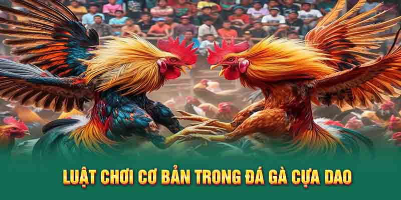 Luật chơi cơ bản trong đá gà cựa dao